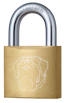 Truck Insurance Security